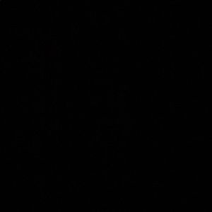 Meet your Posher, Jeraldine